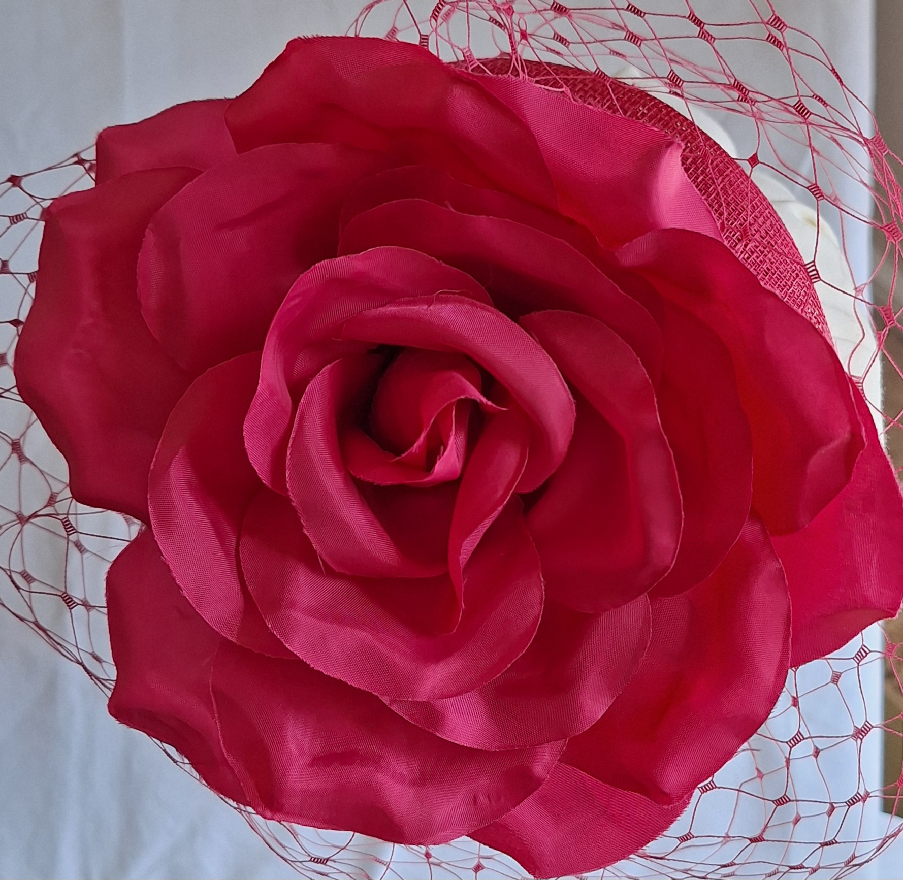 Debut delight! - Image 6